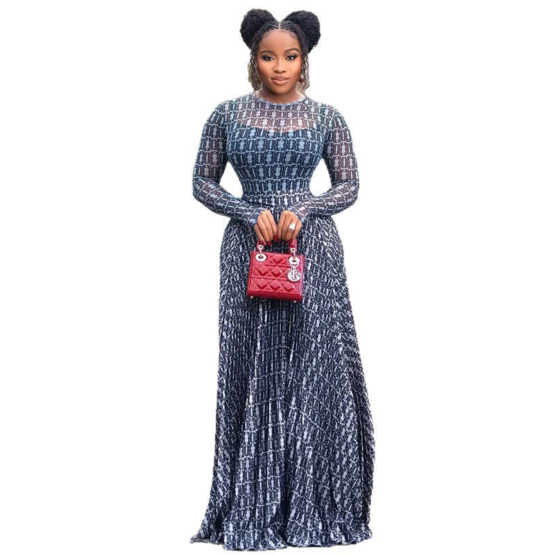 Street A-line Dress With Round Neck And Long Sleeves Slightly Sheer